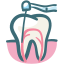 Medical & Dentist WordPress Theme - root-canal