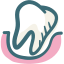 Radiologie Dentaire